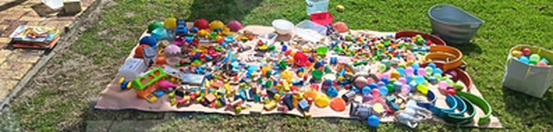 Freshly washed toys laid out on the lawn to dry